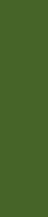 Willow Sprouts - Willow Academy