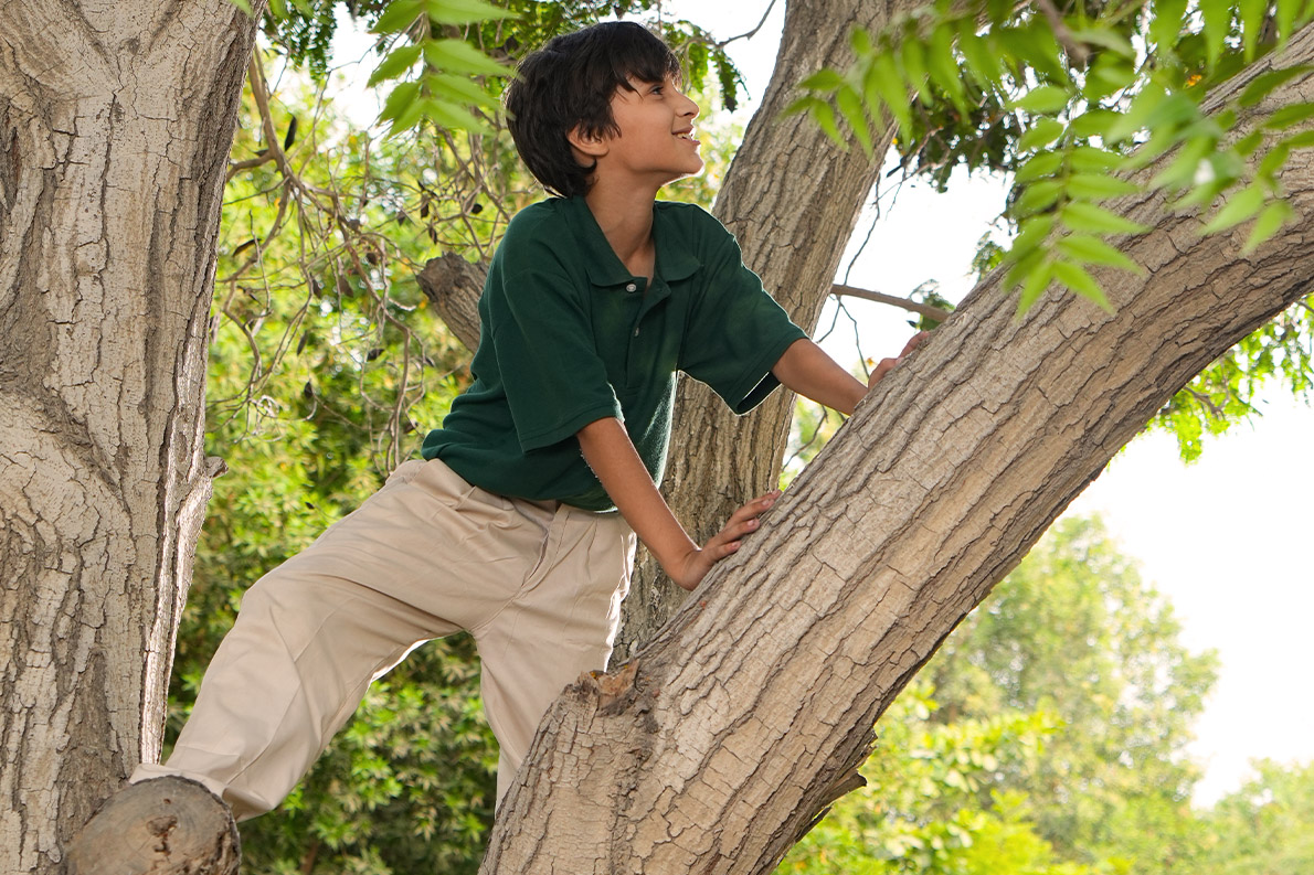 Nature - Willow Academy