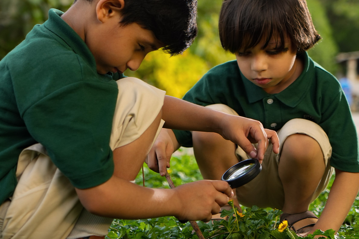 Nature - Willow Academy