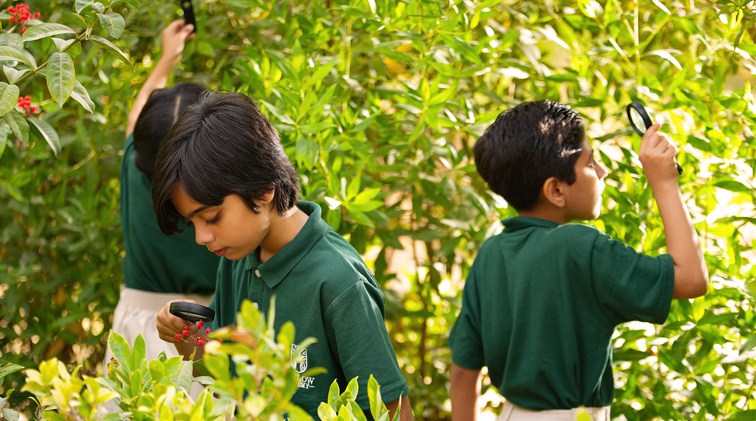 Nature - Willow Academy